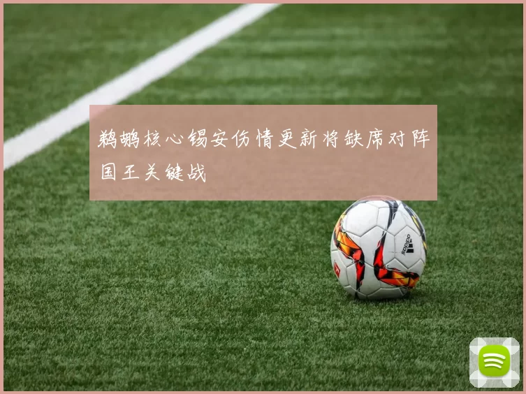 鹈鹕核心锡安伤情更新将缺席对阵国王关键战