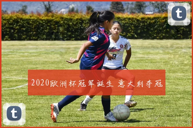 2020欧洲杯冠军诞生 意大利夺冠