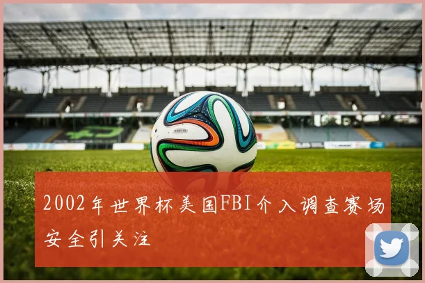 2002年世界杯美国FBI介入调查赛场安全引关注